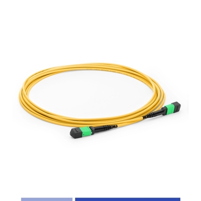 kupować 12 rdzenia MTP® Fiber Optic Patch Cord Female Single Mode G652D 10m Fiber Patch Cables OFNP Type B produkcja online