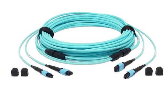 kupować 24 Włókna OM3 MTP® Włókna optyczne Kabel węzłowy OM3 Multimode 3m LSZH produkcja online